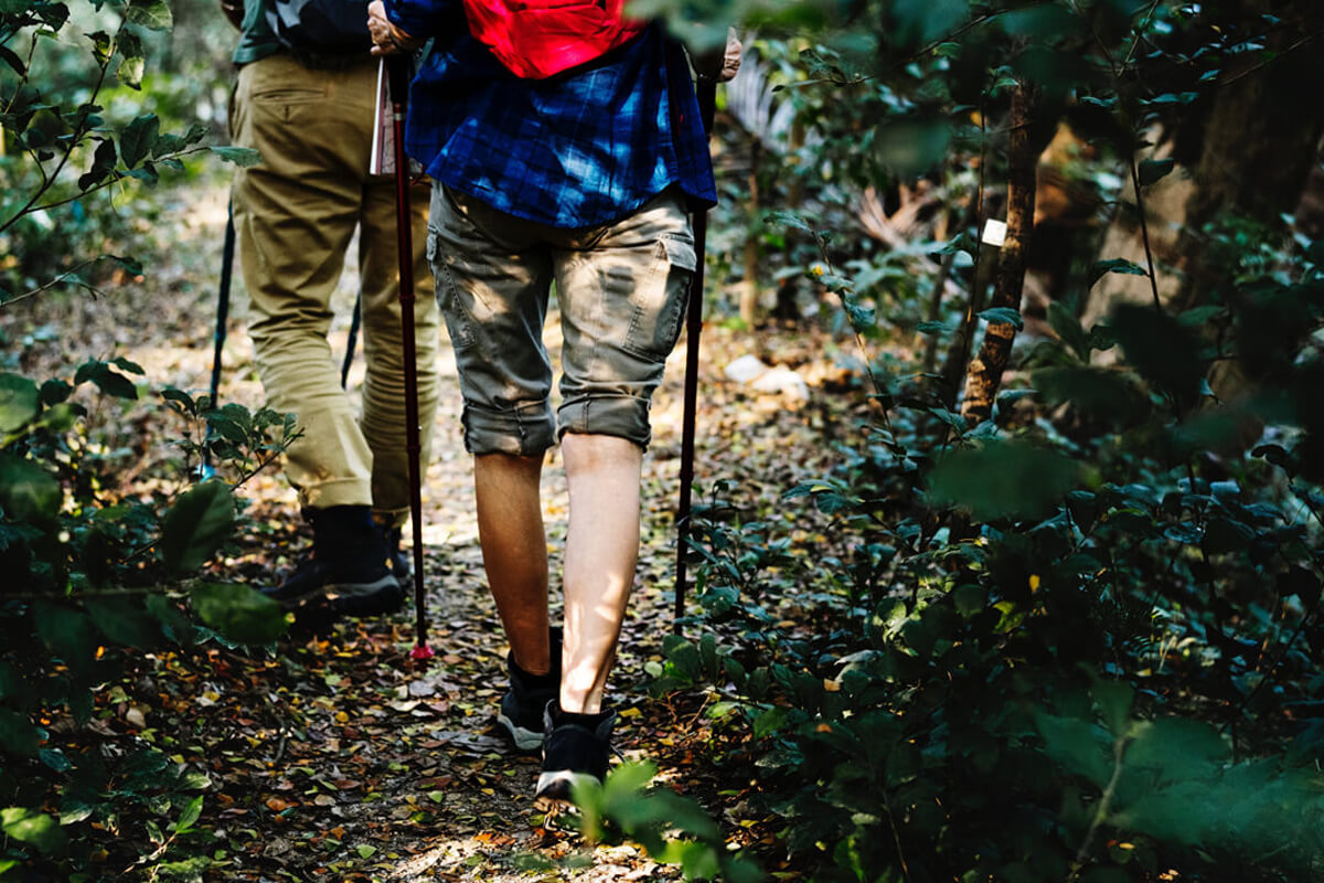 Zwei ältere Männer wandern im Wald.