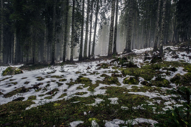 Im Winter ist unser Immunsystem besonders gefordert