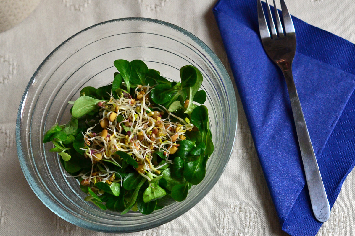 Sprossen über einem frischen Salat